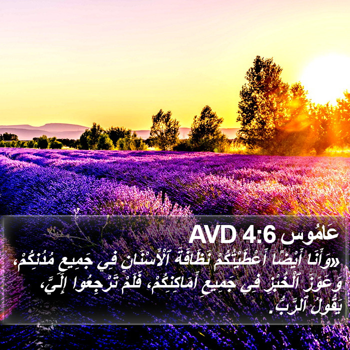 عَامُوس 4:6 AVD Bible Study