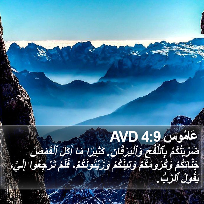 عَامُوس 4:9 AVD Bible Study