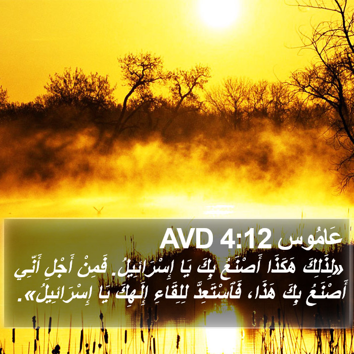 عَامُوس 4:12 AVD Bible Study