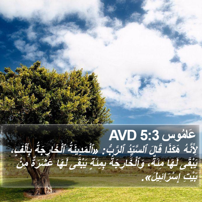 عَامُوس 5:3 AVD Bible Study