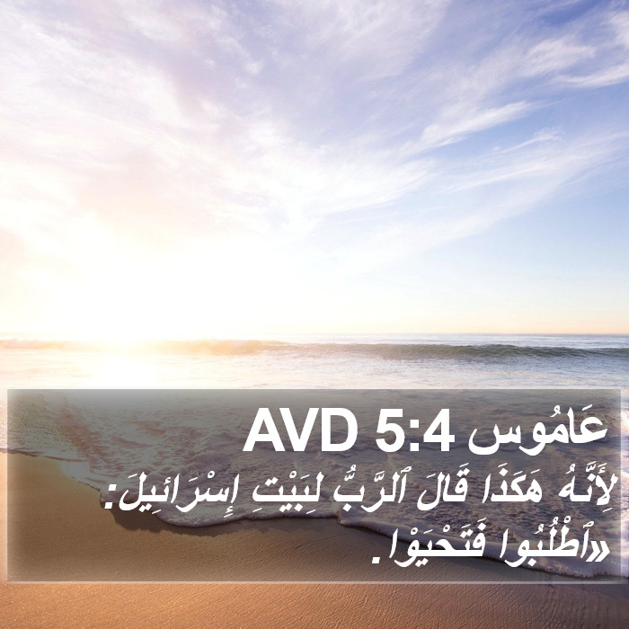 عَامُوس 5:4 AVD Bible Study