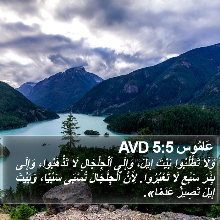 عَامُوس 5:5 AVD Bible Study