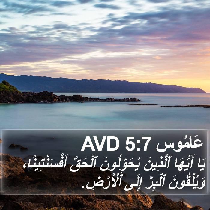 عَامُوس 5:7 AVD Bible Study