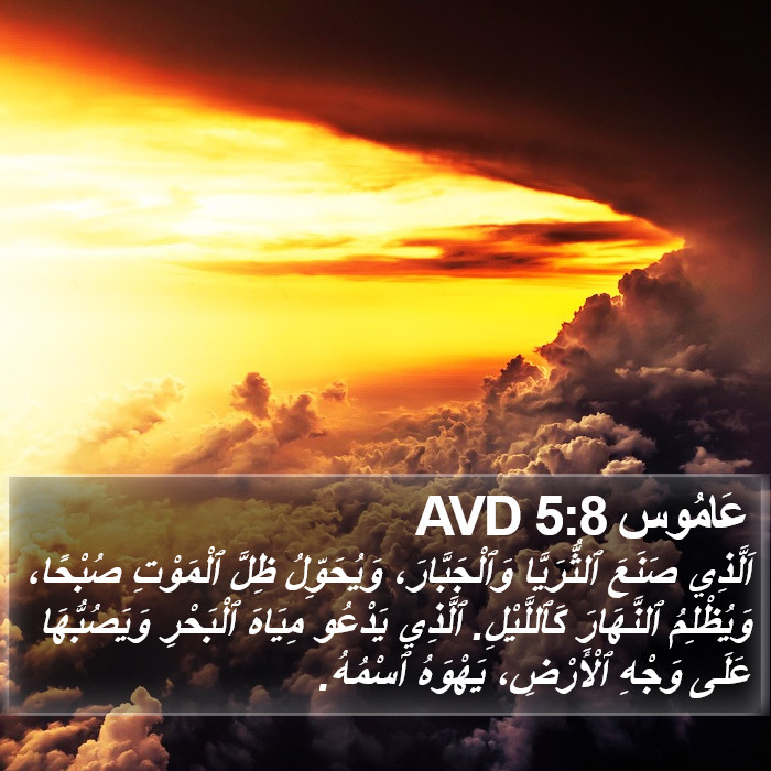 عَامُوس 5:8 AVD Bible Study