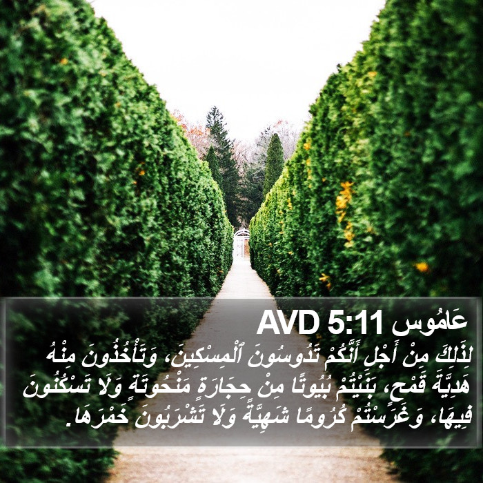 عَامُوس 5:11 AVD Bible Study