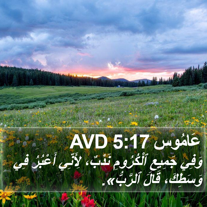 عَامُوس 5:17 AVD Bible Study