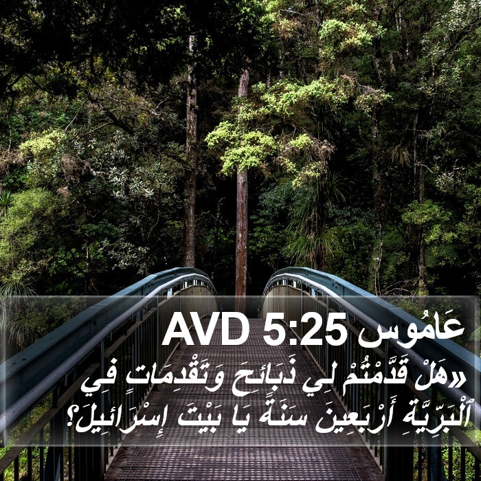 عَامُوس 5:25 AVD Bible Study