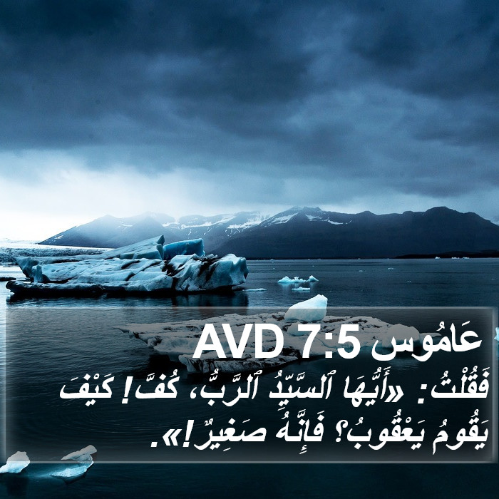 عَامُوس 7:5 AVD Bible Study