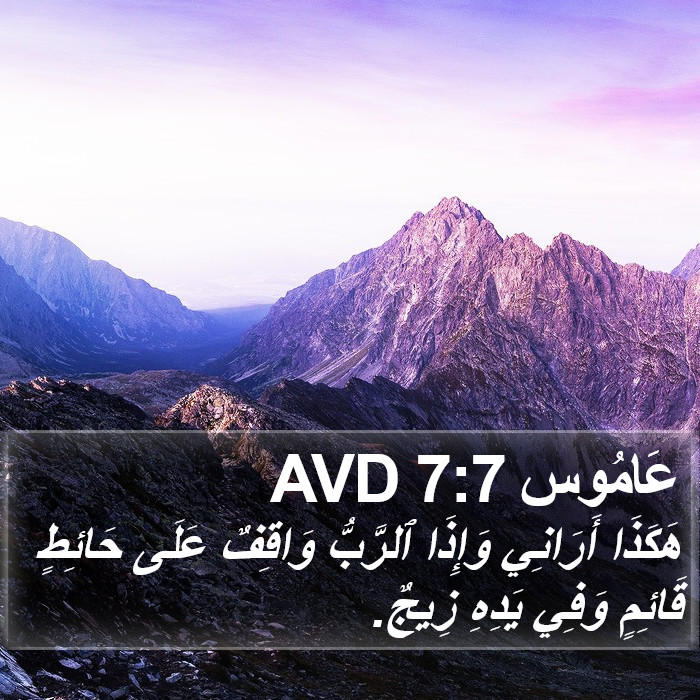 عَامُوس 7:7 AVD Bible Study