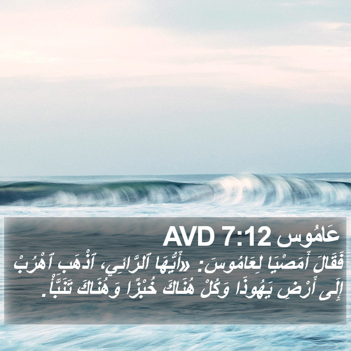 عَامُوس 7:12 AVD Bible Study