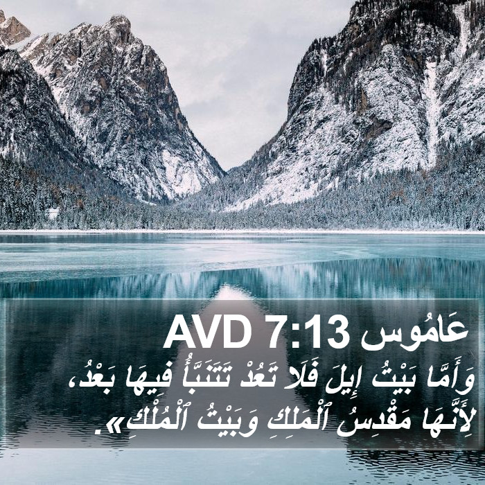 عَامُوس 7:13 AVD Bible Study