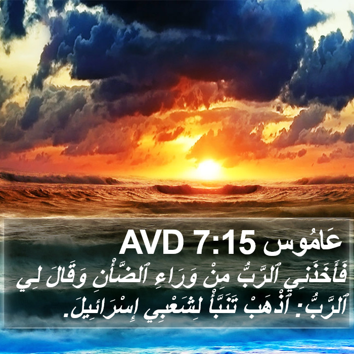 عَامُوس 7:15 AVD Bible Study
