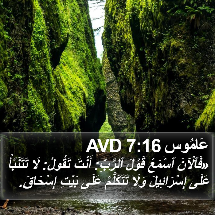 عَامُوس 7:16 AVD Bible Study