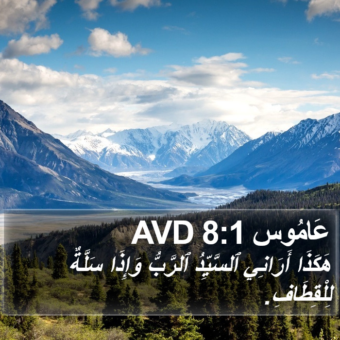 عَامُوس 8:1 AVD Bible Study