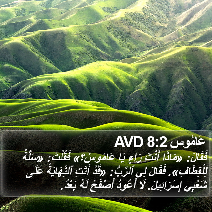 عَامُوس 8:2 AVD Bible Study