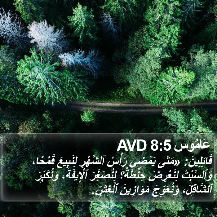 عَامُوس 8:5 AVD Bible Study