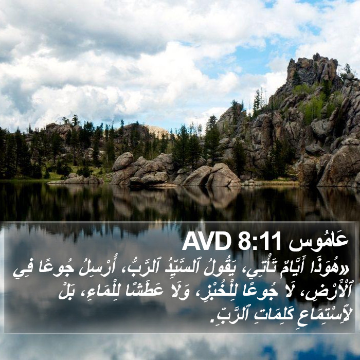 عَامُوس 8:11 AVD Bible Study