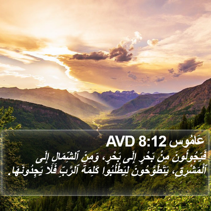 عَامُوس 8:12 AVD Bible Study