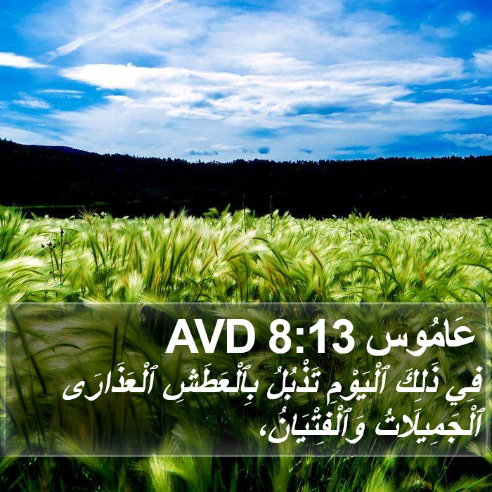 عَامُوس 8:13 AVD Bible Study