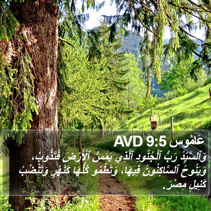 عَامُوس 9:5 AVD Bible Study
