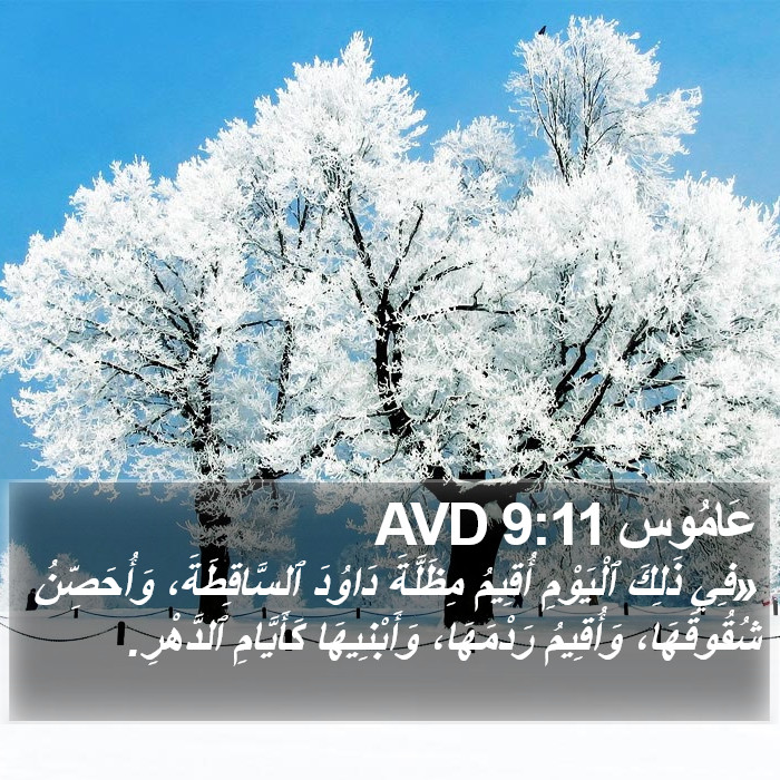 عَامُوس 9:11 AVD Bible Study