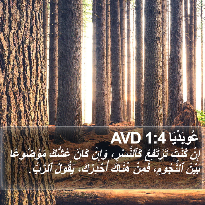 عُوبَدْيَا 1:4 AVD Bible Study