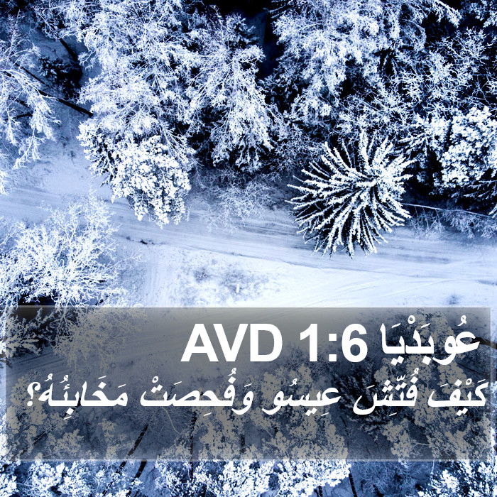 عُوبَدْيَا 1:6 AVD Bible Study