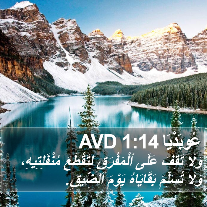 عُوبَدْيَا 1:14 AVD Bible Study