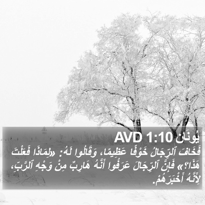 يُونَان 1:10 AVD Bible Study