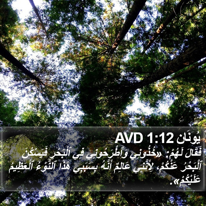 يُونَان 1:12 AVD Bible Study