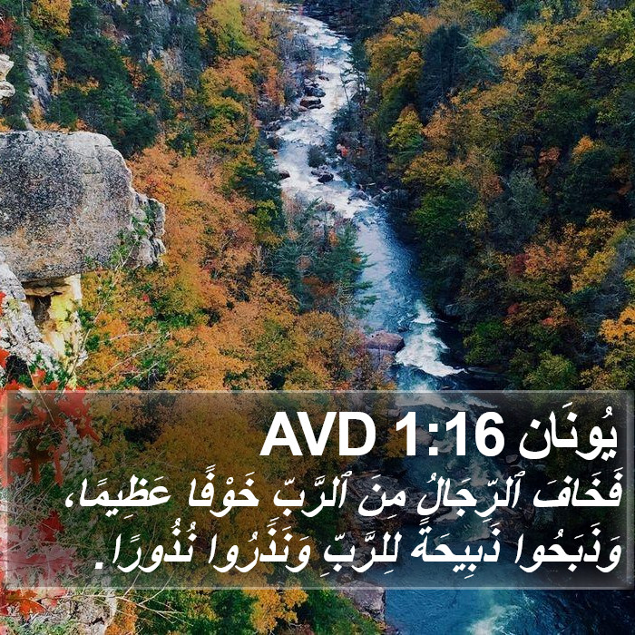 يُونَان 1:16 AVD Bible Study