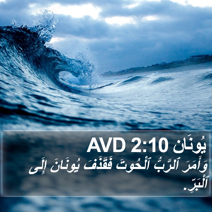 يُونَان 2:10 AVD Bible Study