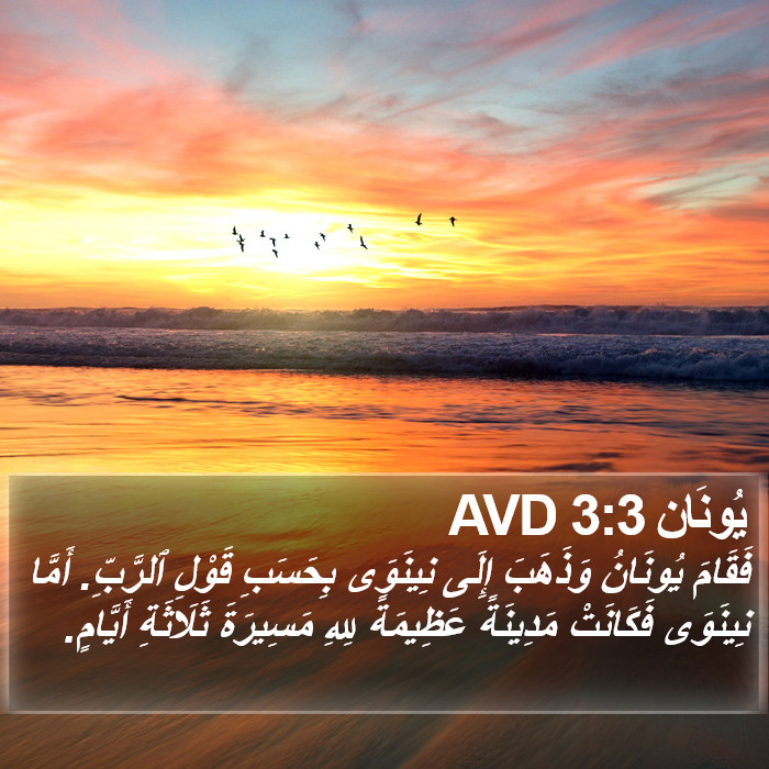 يُونَان 3:3 AVD Bible Study