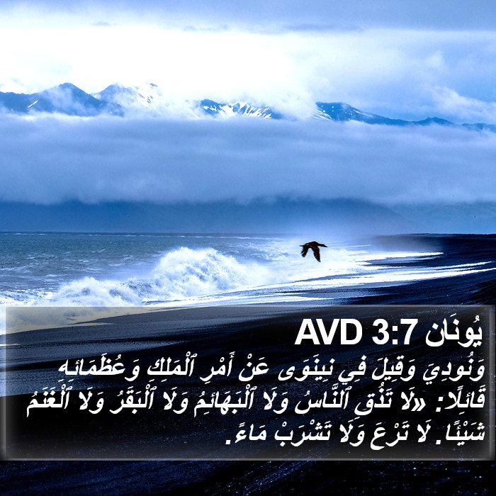 يُونَان 3:7 AVD Bible Study
