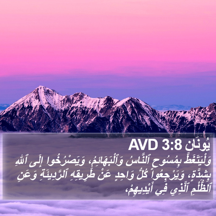 يُونَان 3:8 AVD Bible Study