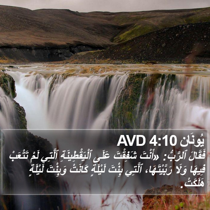 يُونَان 4:10 AVD Bible Study