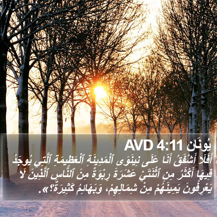 يُونَان 4:11 AVD Bible Study