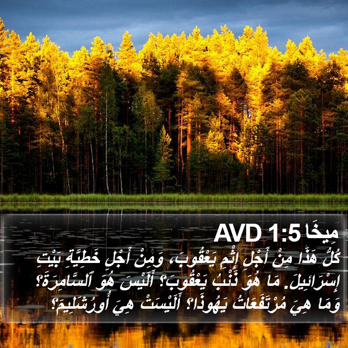 مِيخَا 1:5 AVD Bible Study