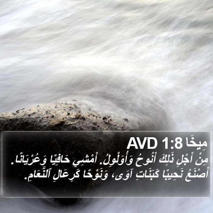 مِيخَا 1:8 AVD Bible Study