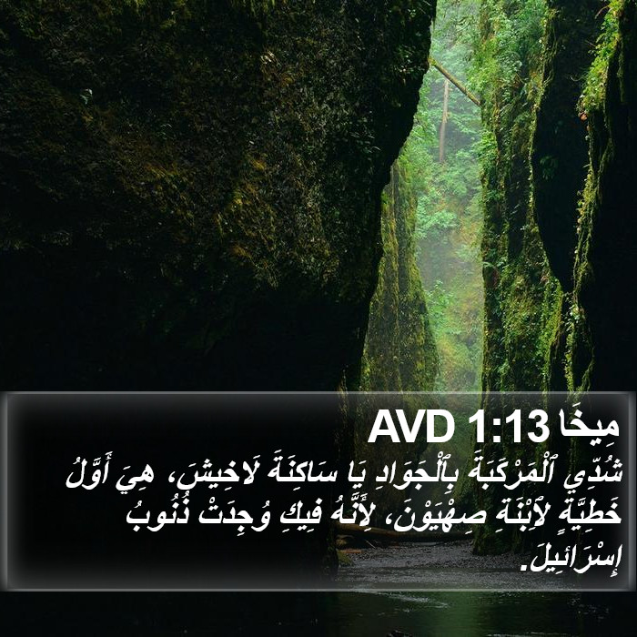 مِيخَا 1:13 AVD Bible Study