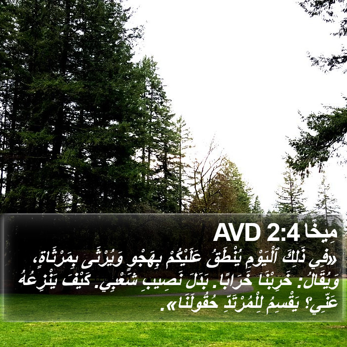 مِيخَا 2:4 AVD Bible Study
