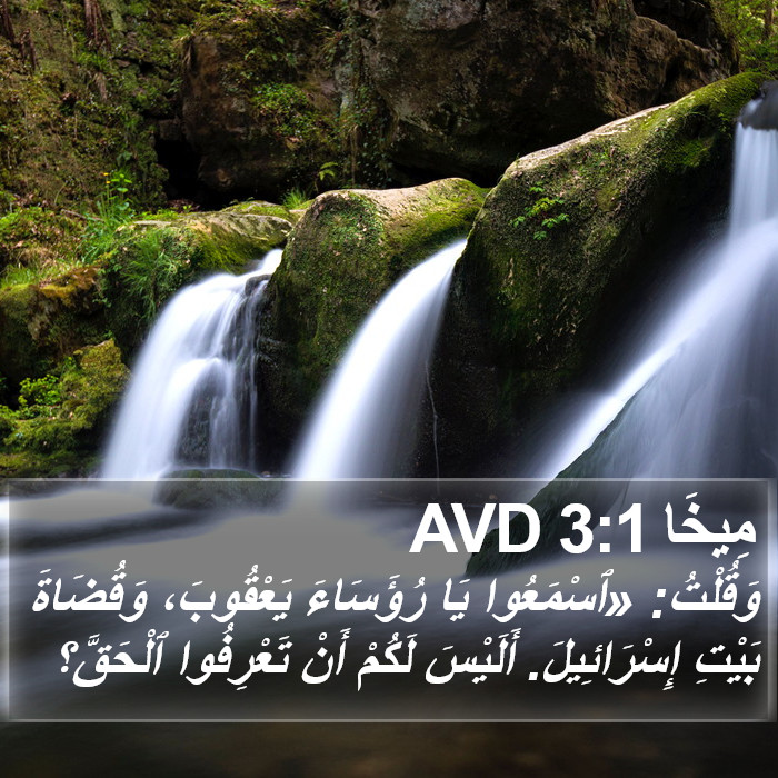 مِيخَا 3:1 AVD Bible Study