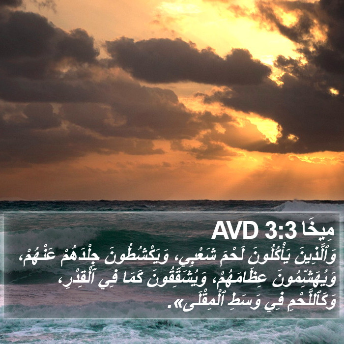 مِيخَا 3:3 AVD Bible Study