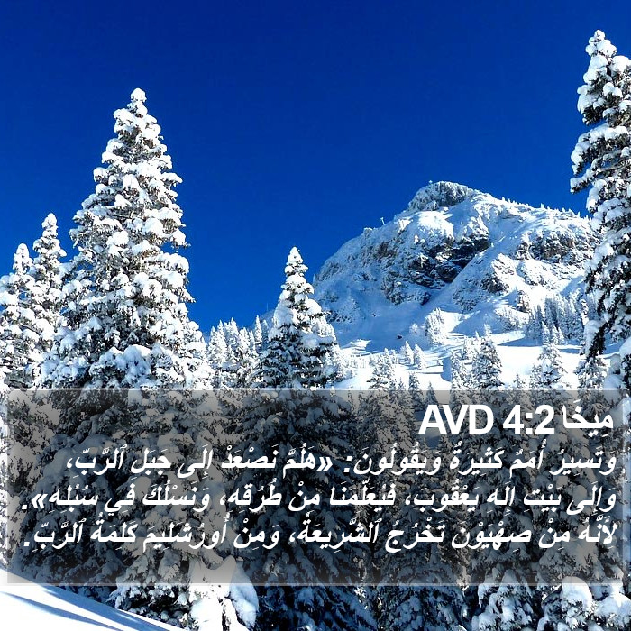 مِيخَا 4:2 AVD Bible Study