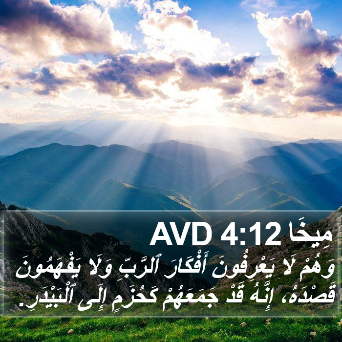 مِيخَا 4:12 AVD Bible Study