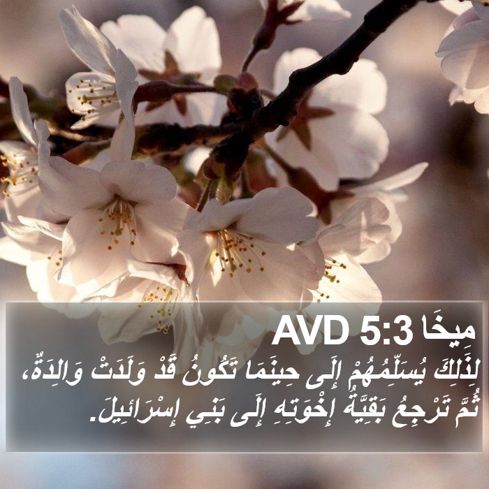 مِيخَا 5:3 AVD Bible Study
