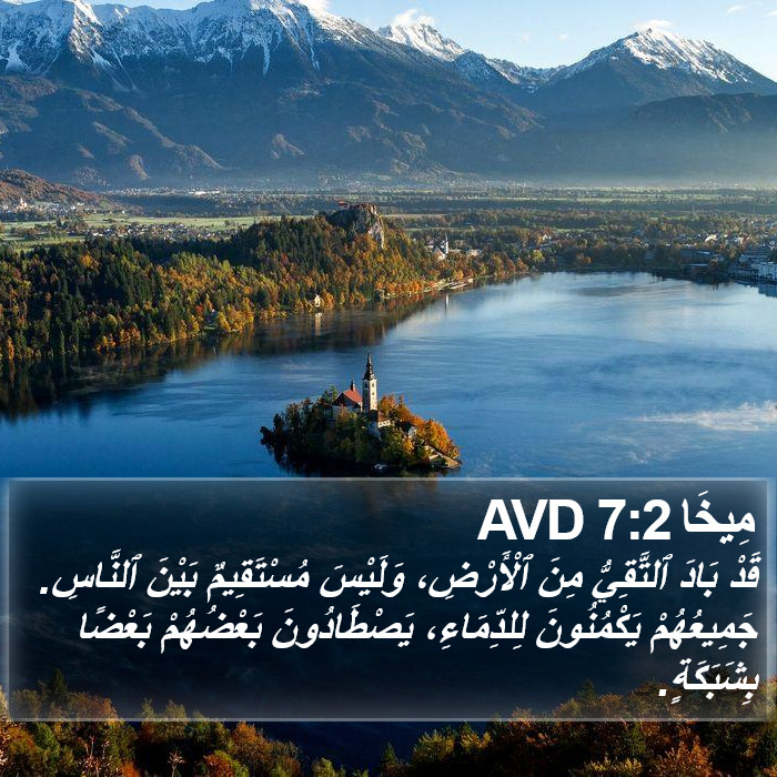 مِيخَا 7:2 AVD Bible Study