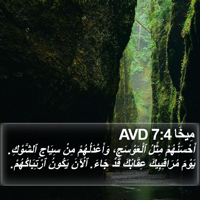 مِيخَا 7:4 AVD Bible Study