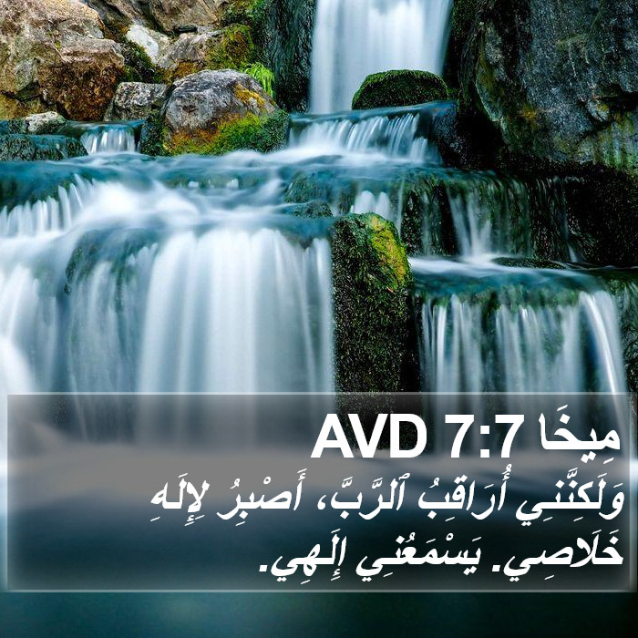 مِيخَا 7:7 AVD Bible Study