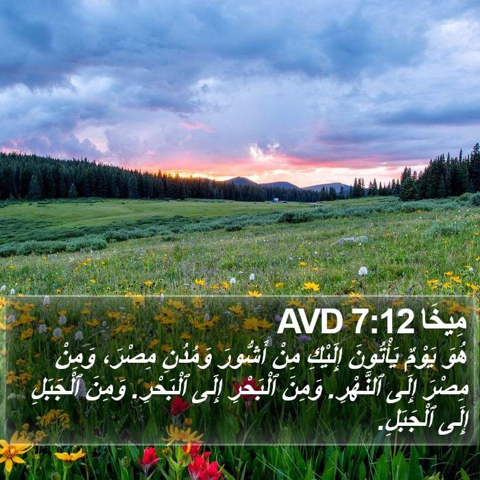 مِيخَا 7:12 AVD Bible Study